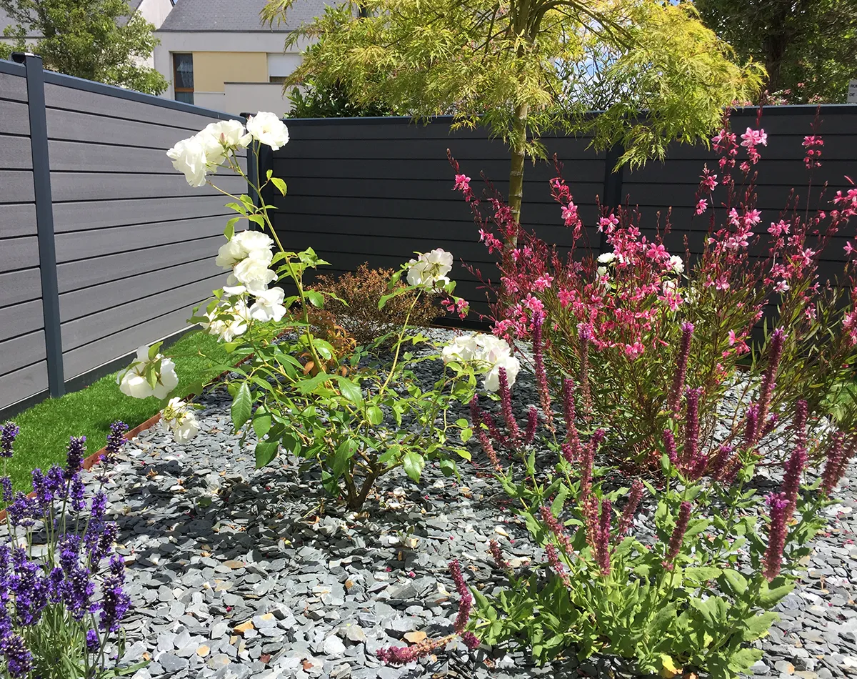Coin fleurit d'un jardin, proche d'un clôture pleine, baigné de soleil